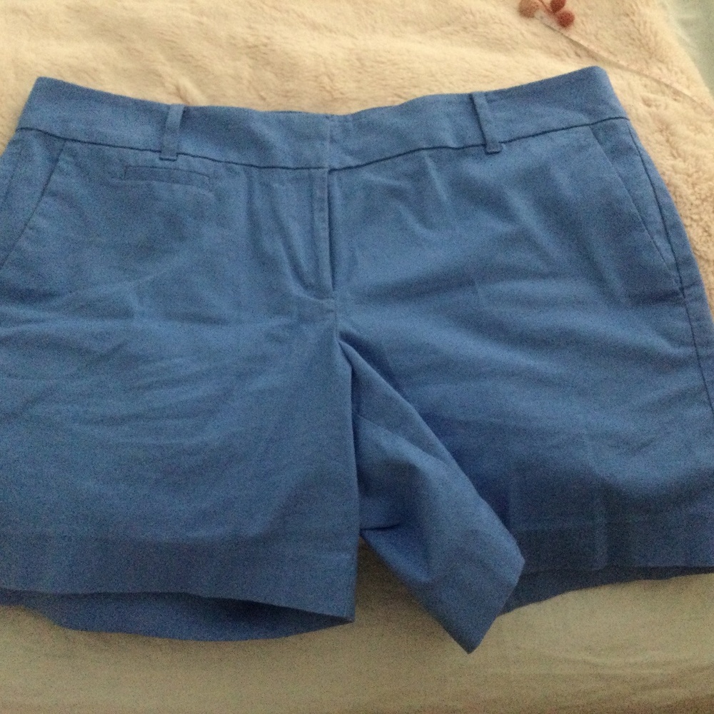 Ann  Taylor Blue Shorts 10